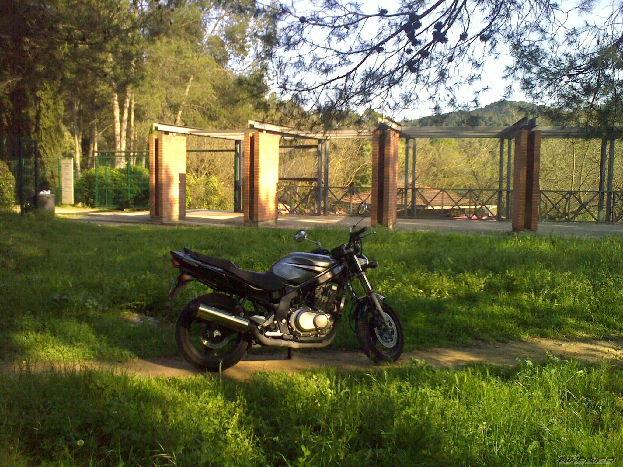 Bike Photo 1666310