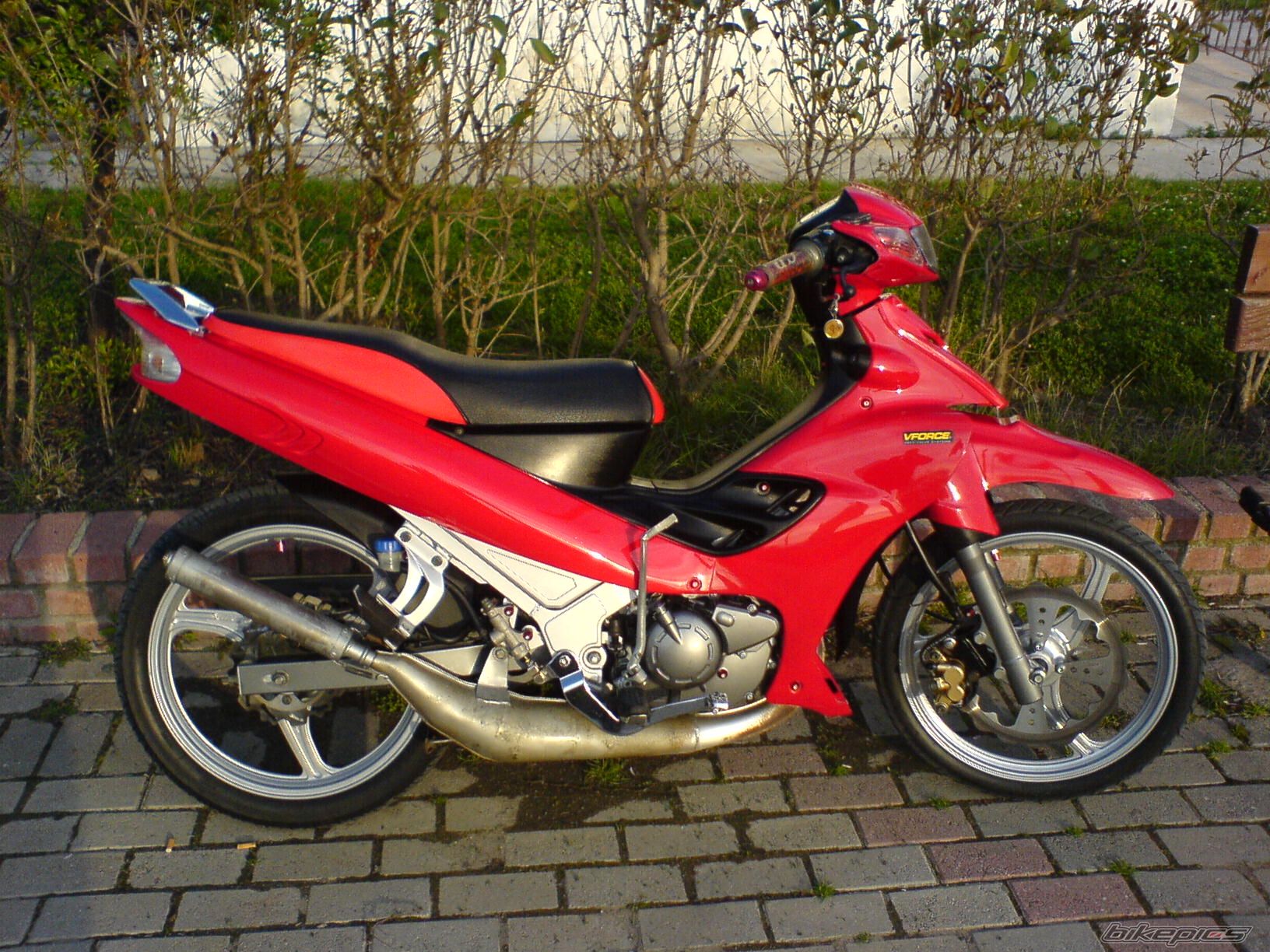 Photo 1666316