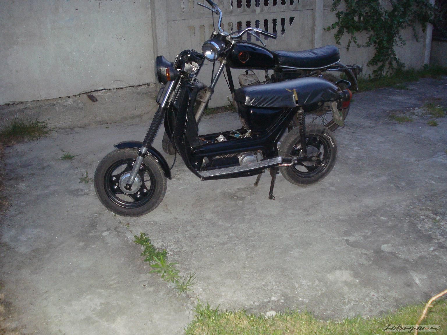 Photo 1666404