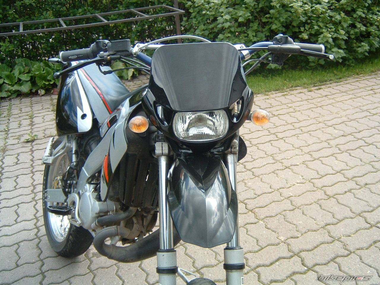 Photo 166641