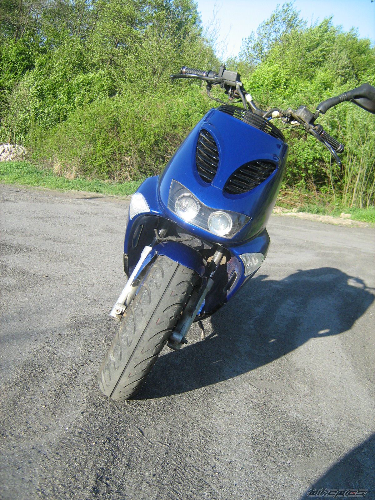 Photo 1666445