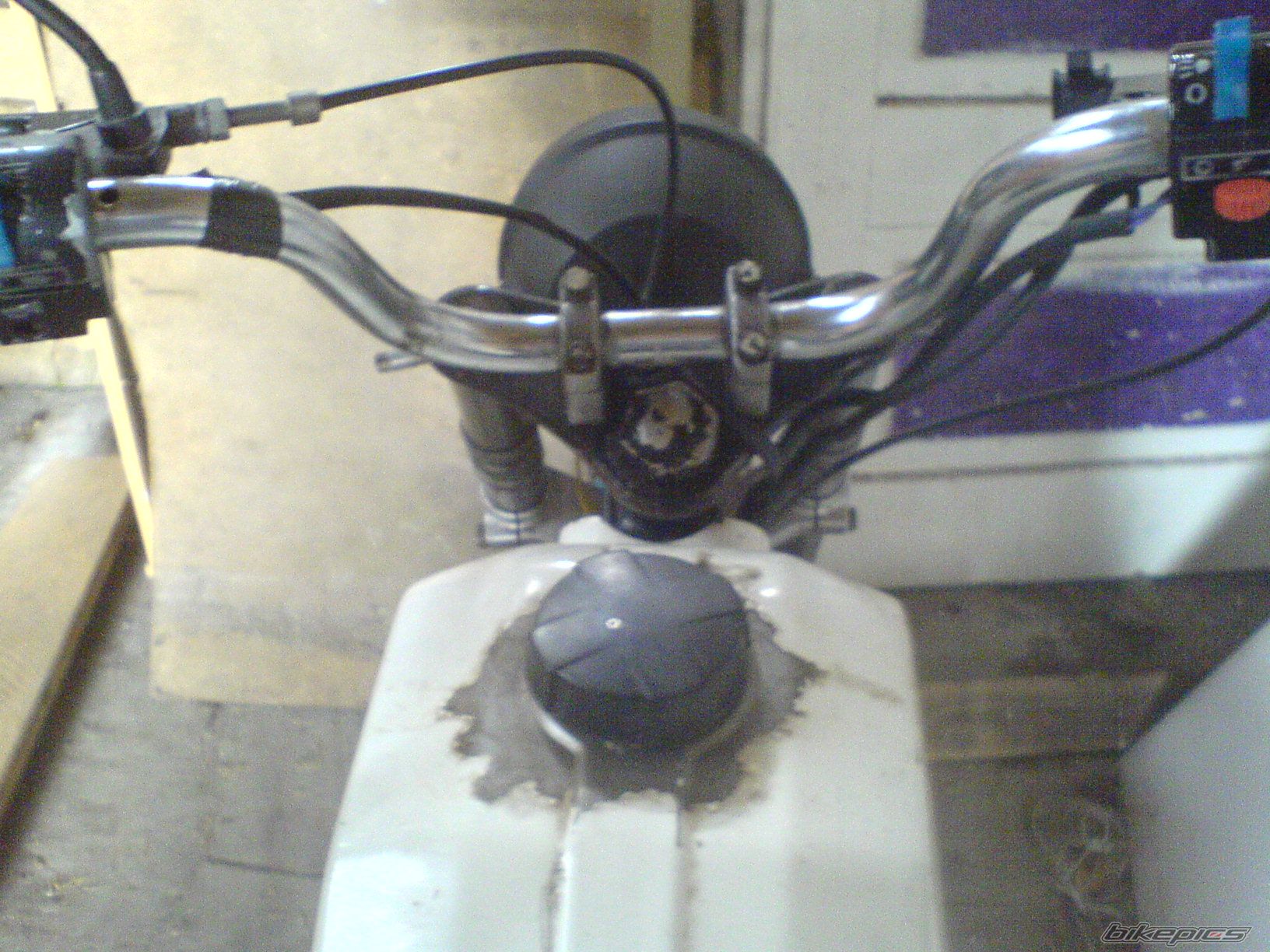 Photo 1666459