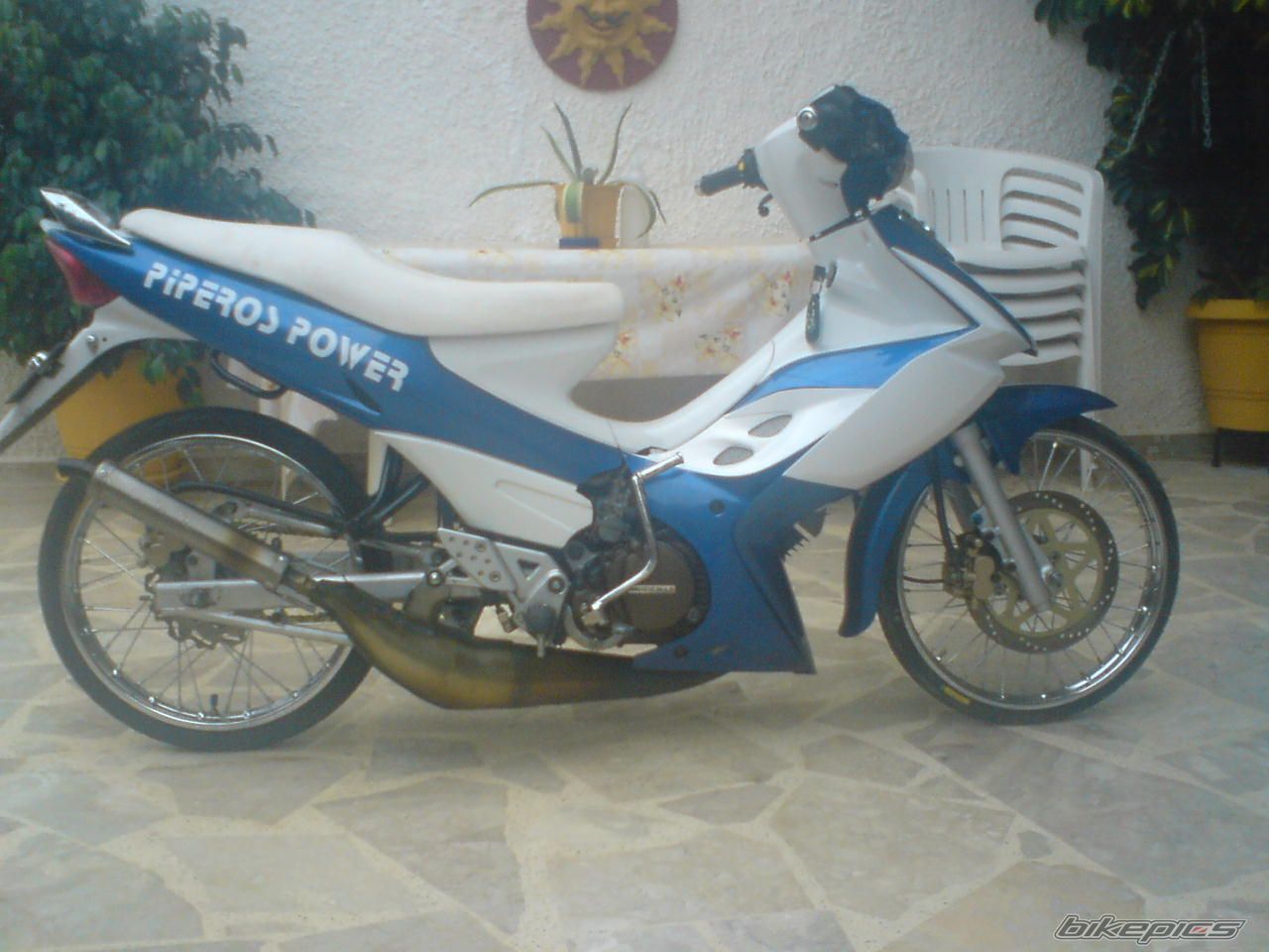 Photo 1666461