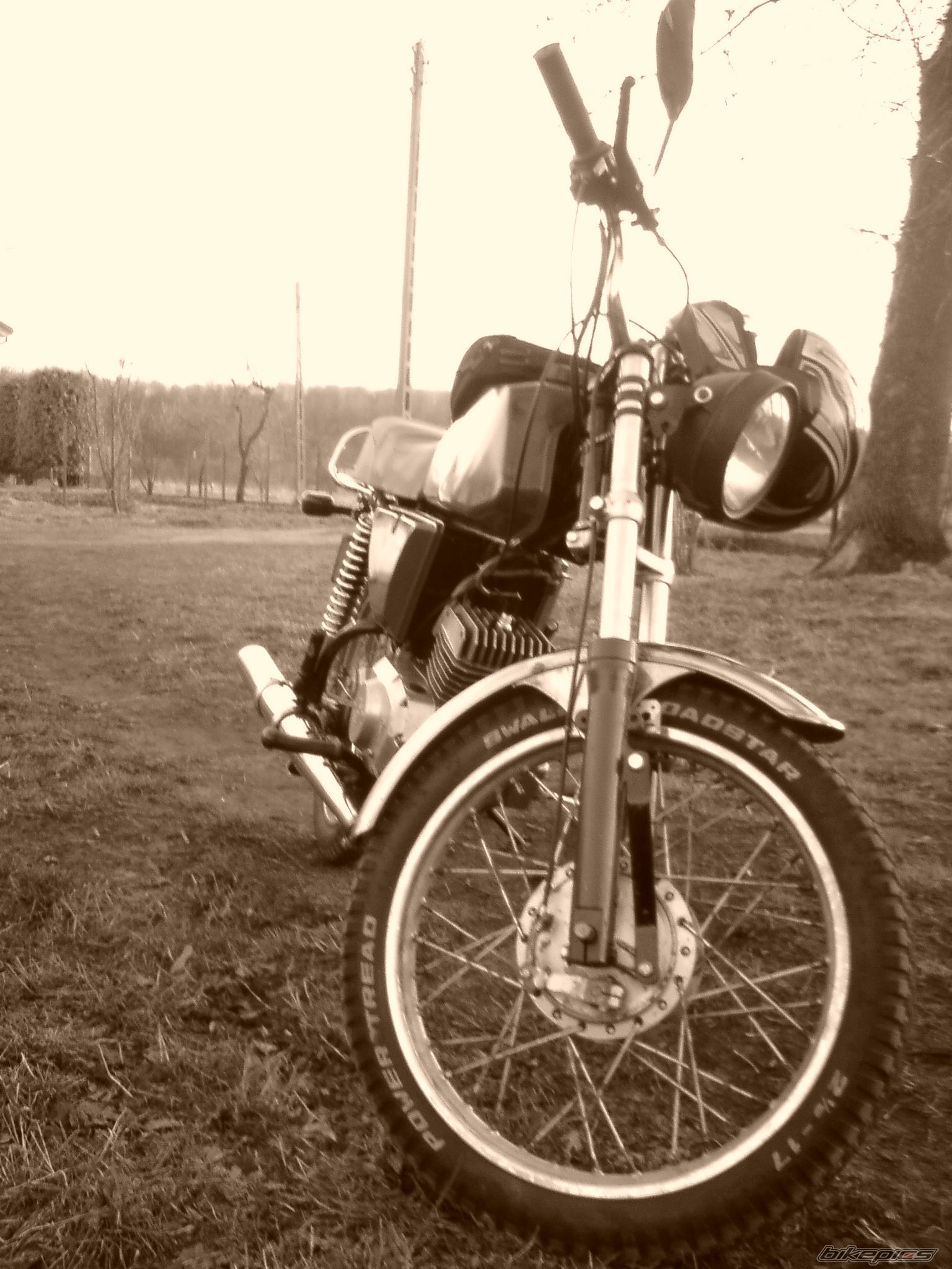 Photo 1666478