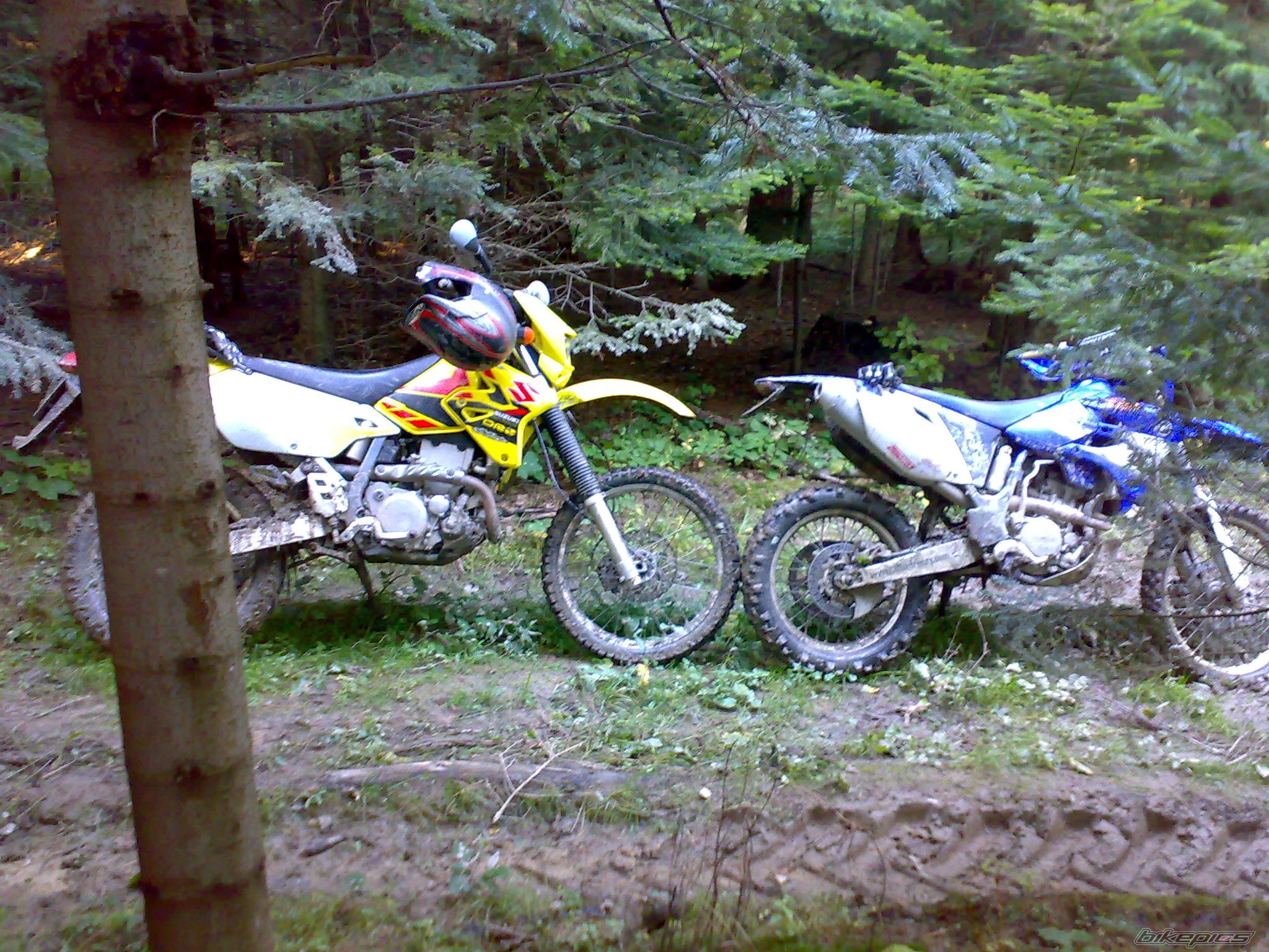 Bike Photo 1666497
