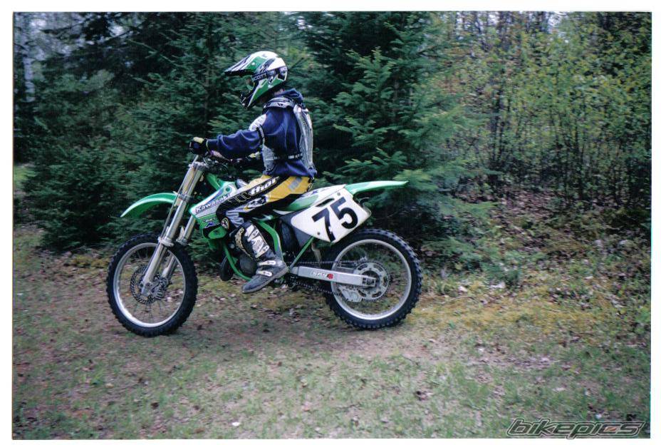 Photo 166652
