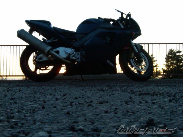 Photo 1666529