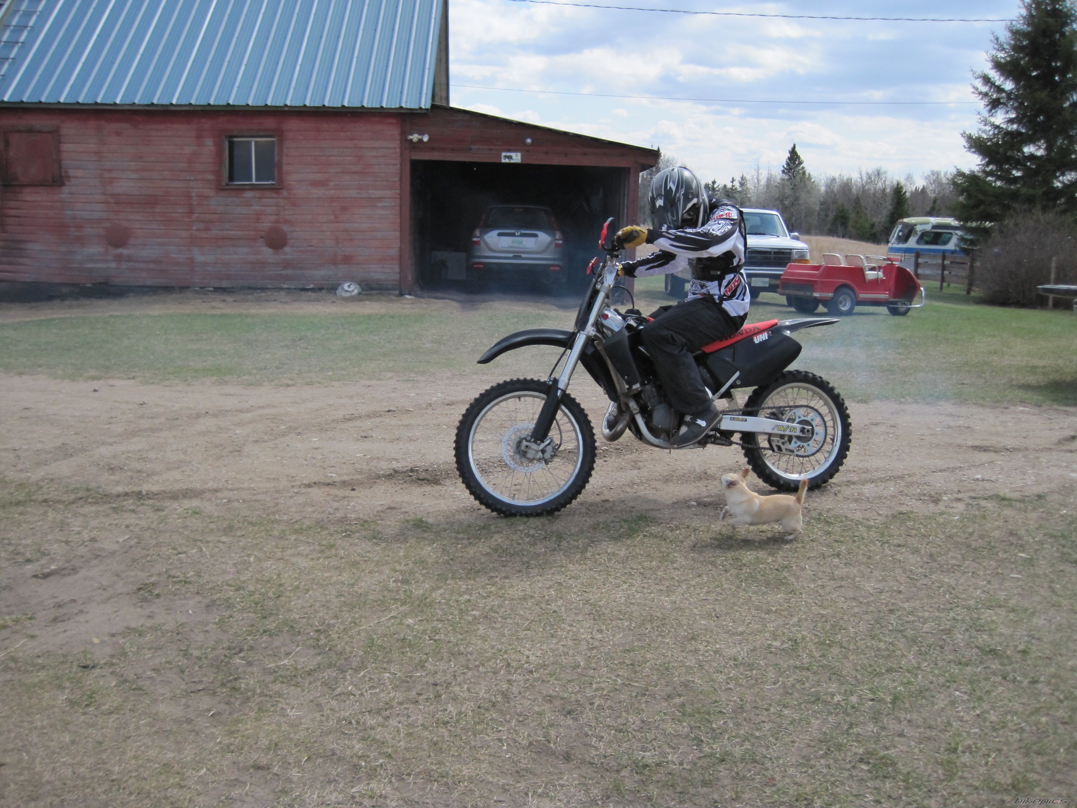 Photo 1666547