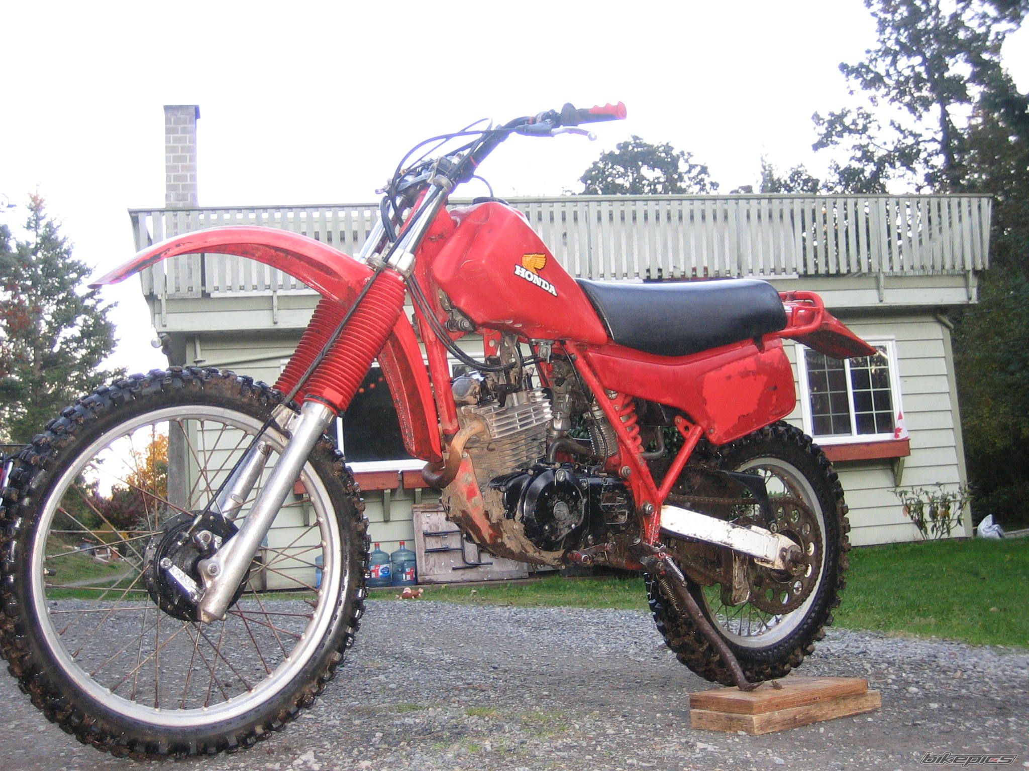 Photo 1666659