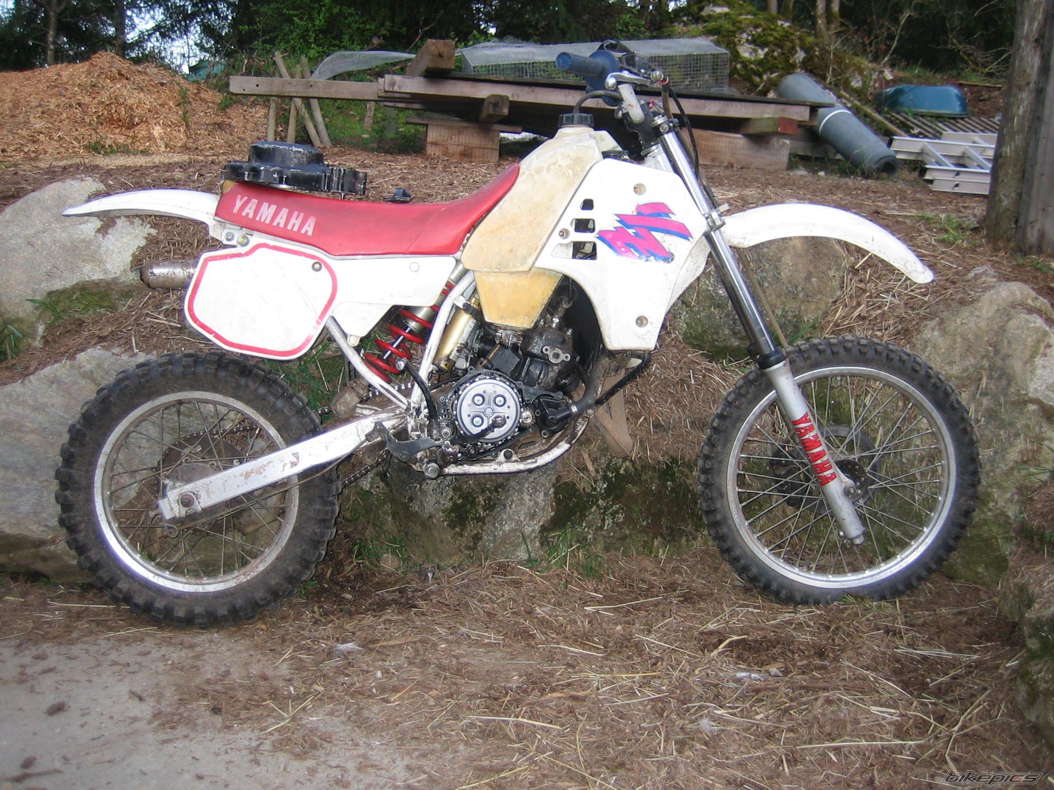 Photo 1666681