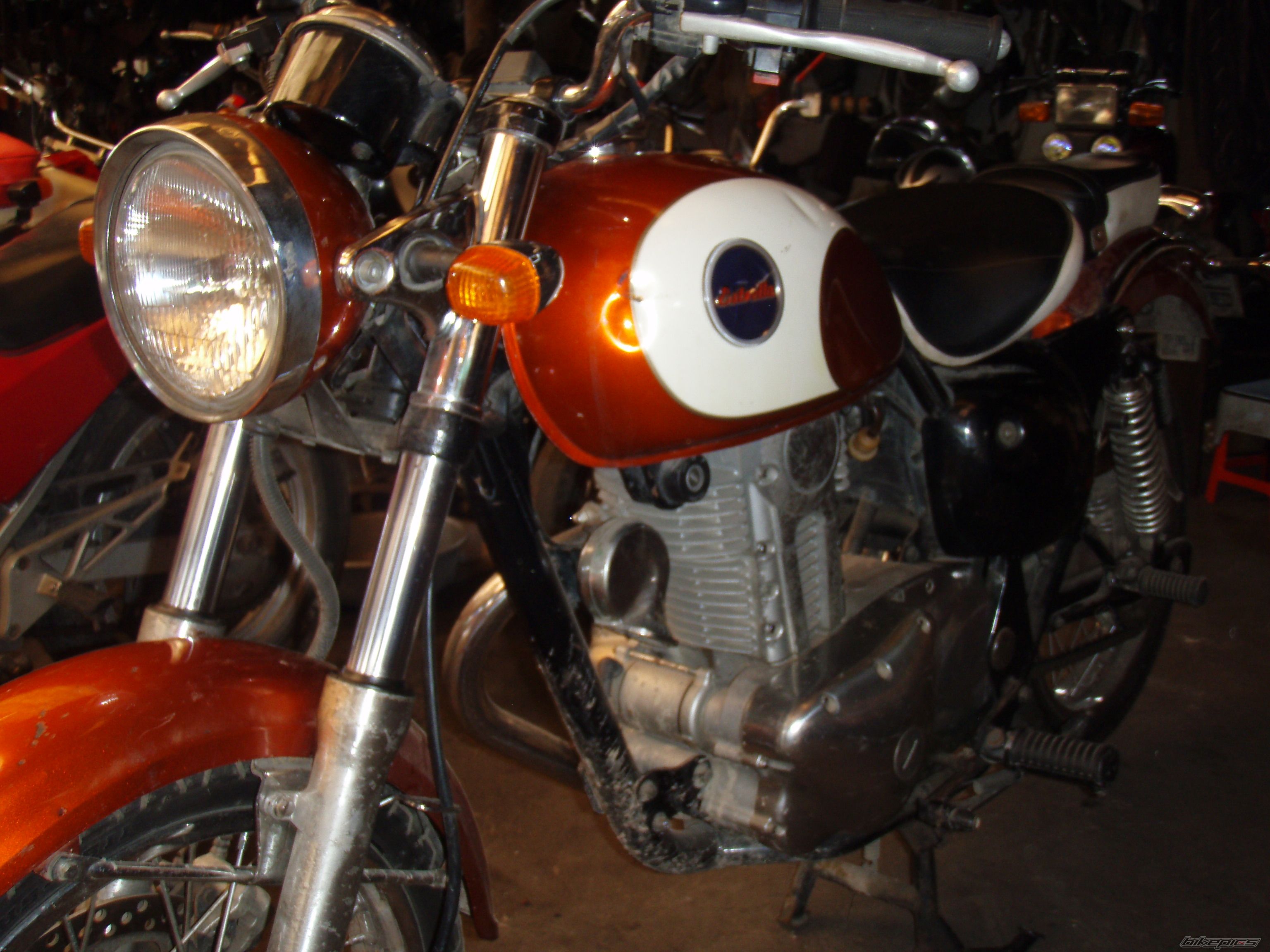 Photo 1666728