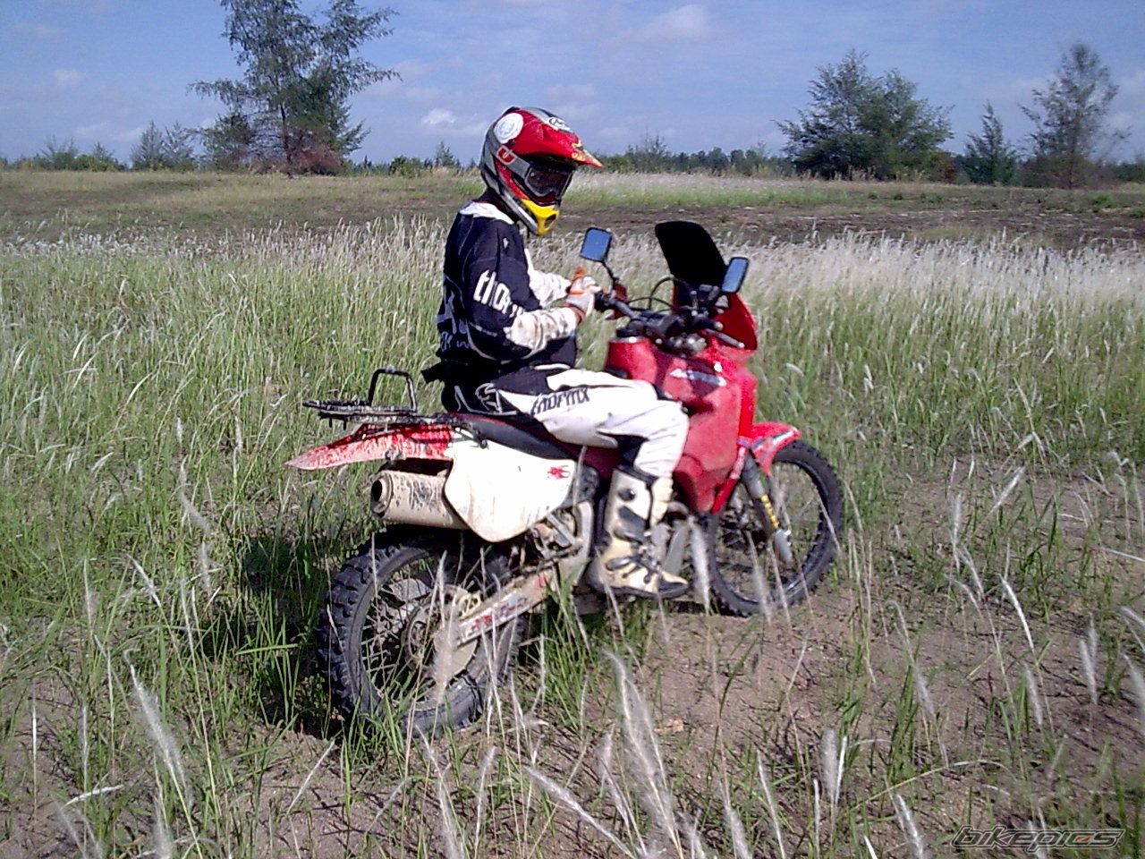 Photo 1666752