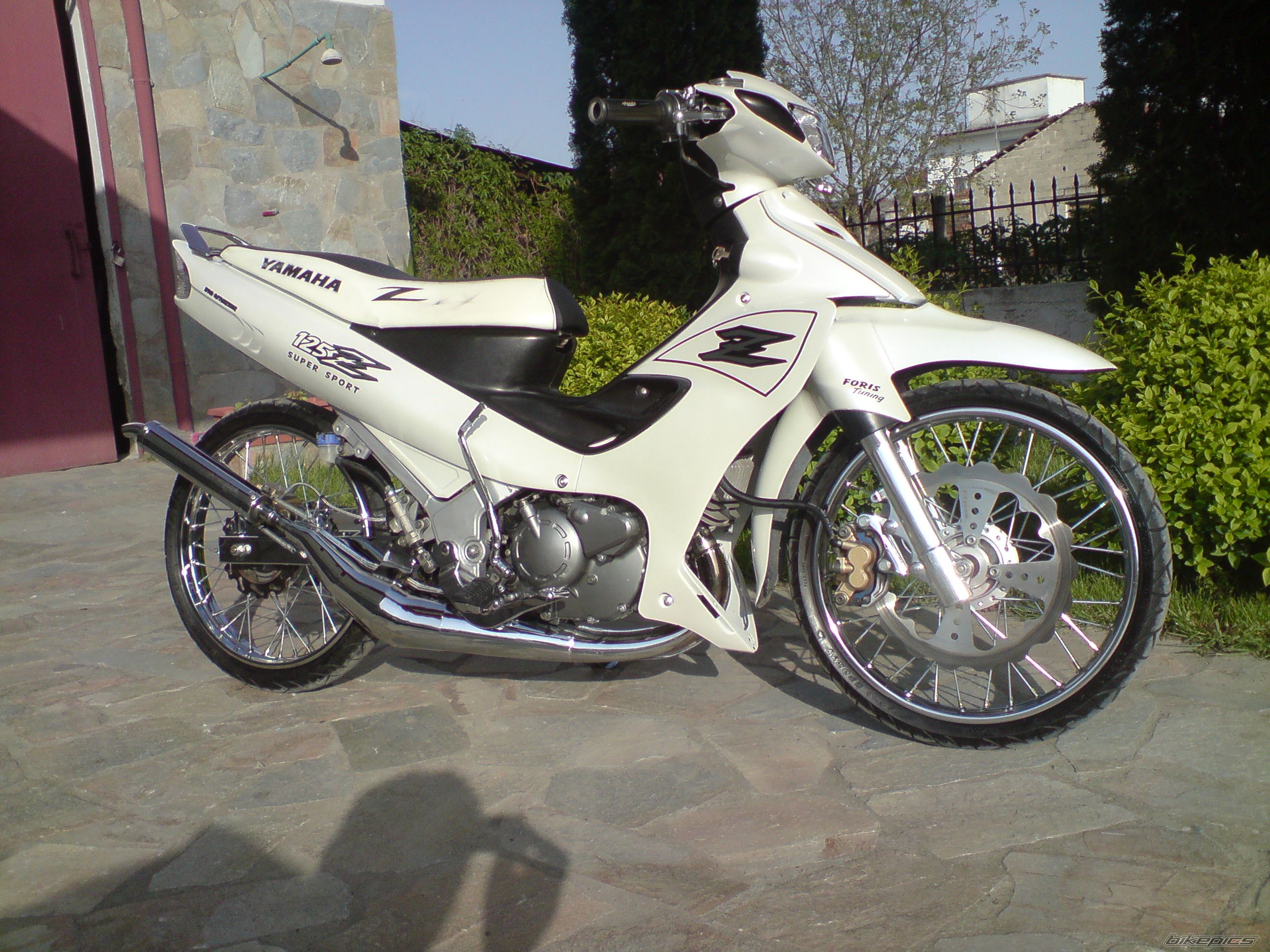 Photo 1666839