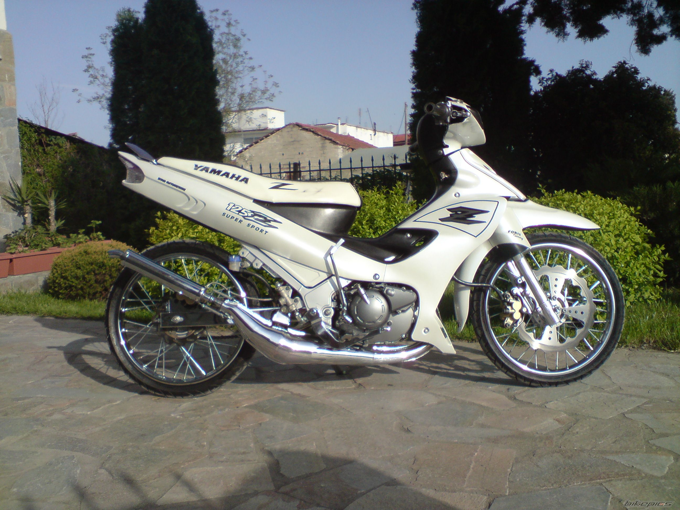 Photo 1666865
