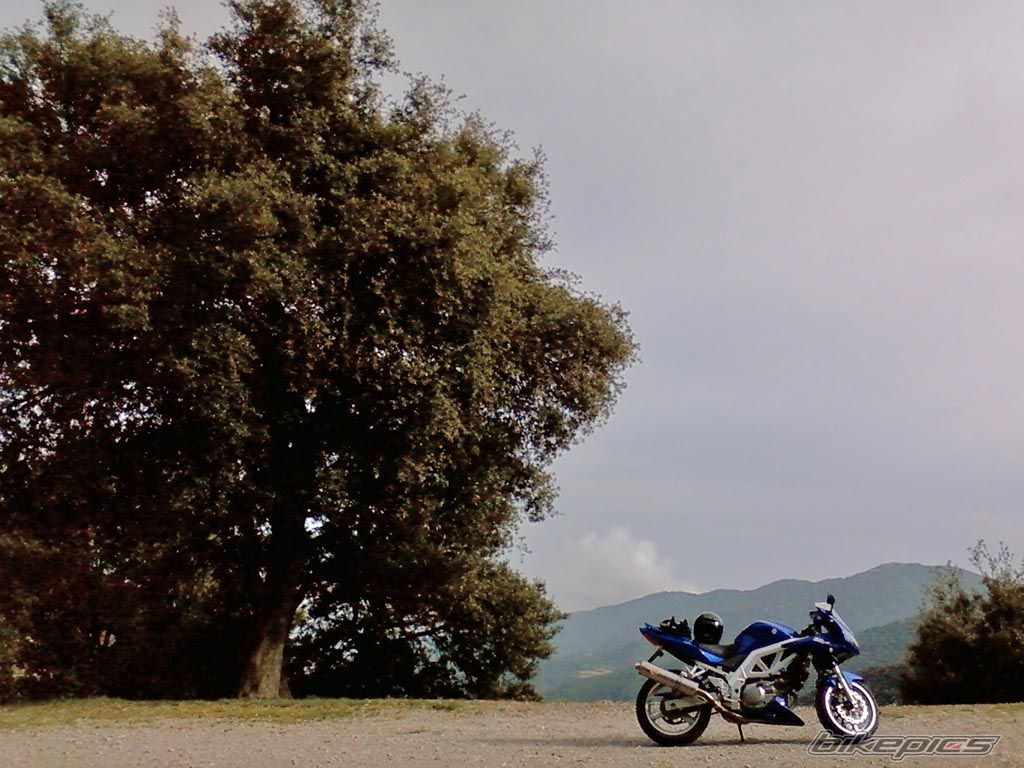 Photo 1666904