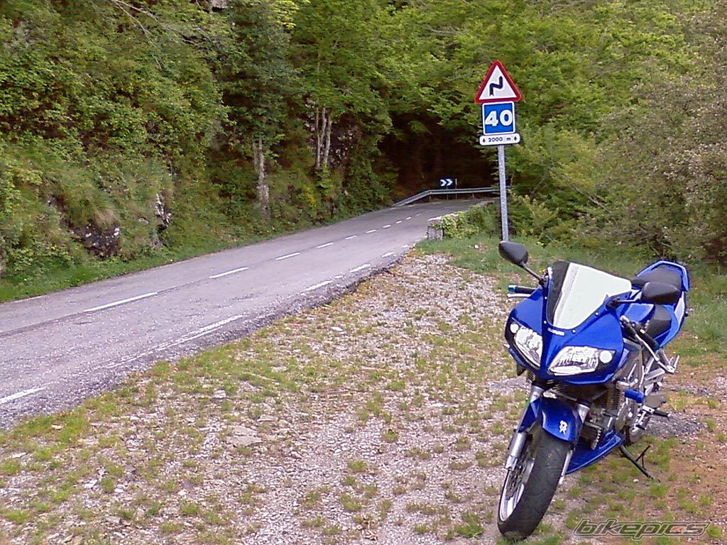 Photo 1666905