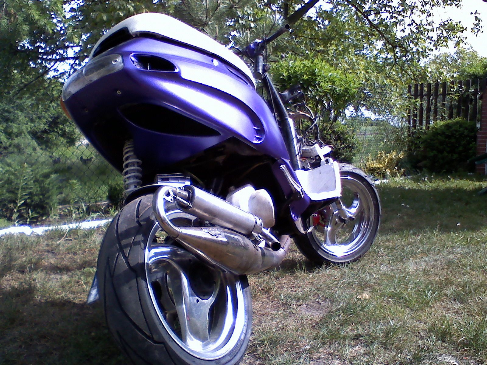 Photo 1666984