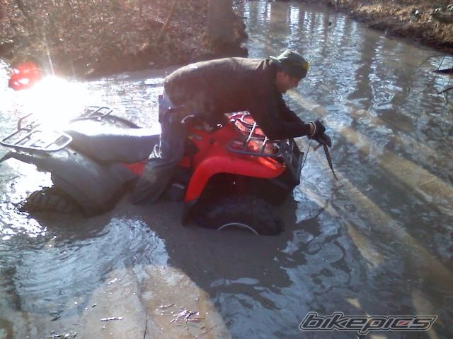 Photo 1667021