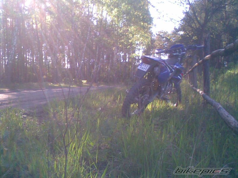 Photo 1667029