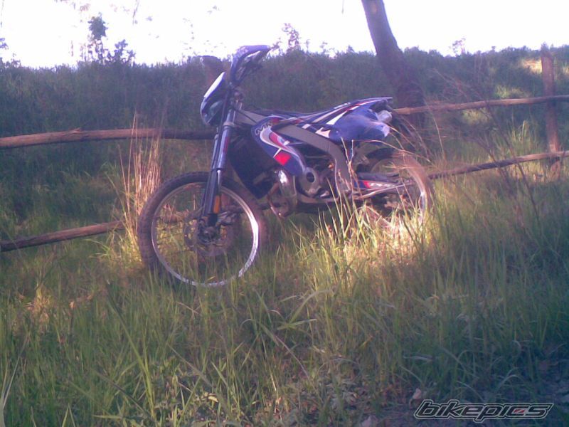 Photo 1667031