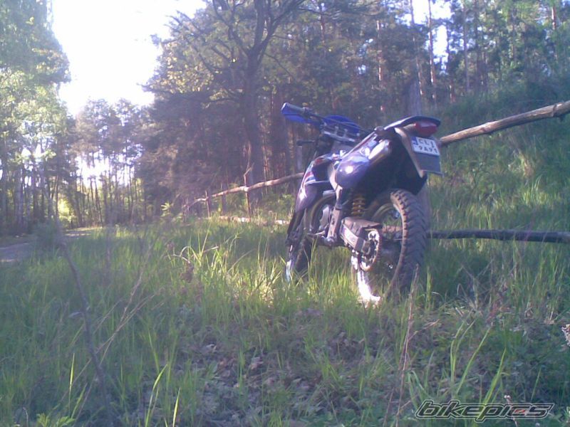 Photo 1667033