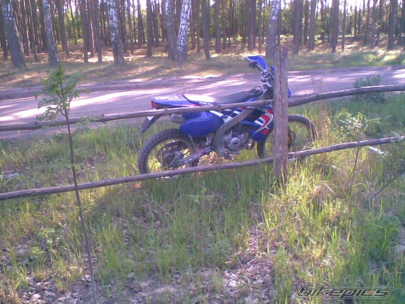 Photo 1667034