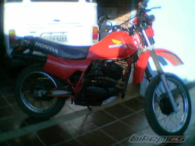 Photo 166704
