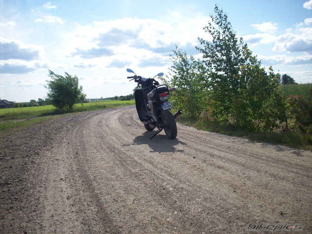 Photo 1667052