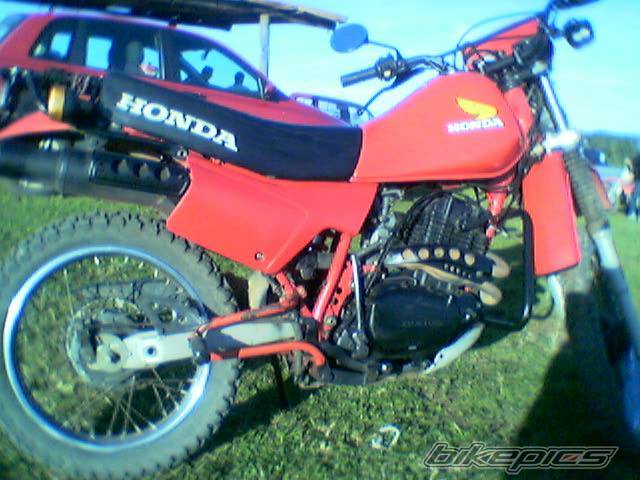 Photo 166709