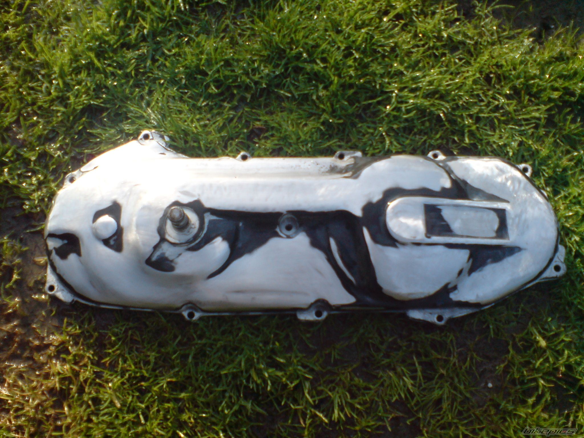 Photo 1667098