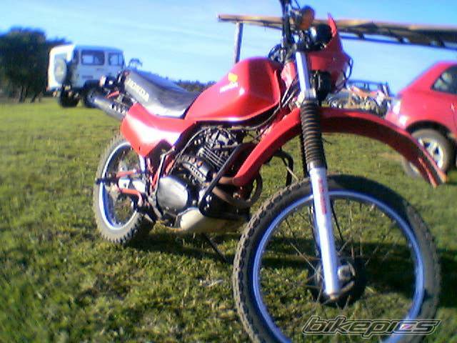 Photo 166710
