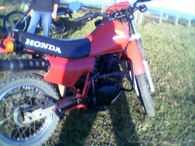 Photo 166711