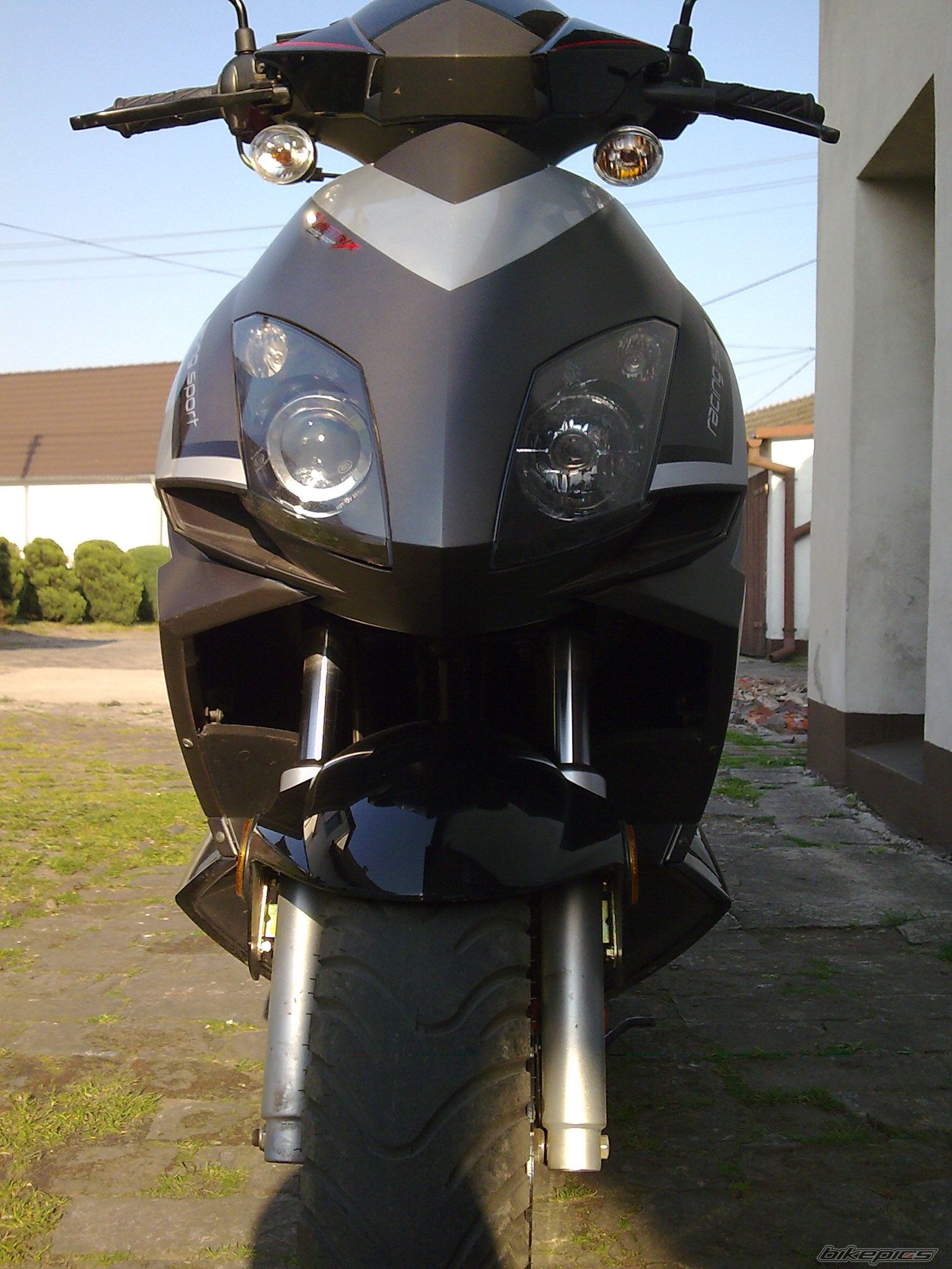 Photo 1667135