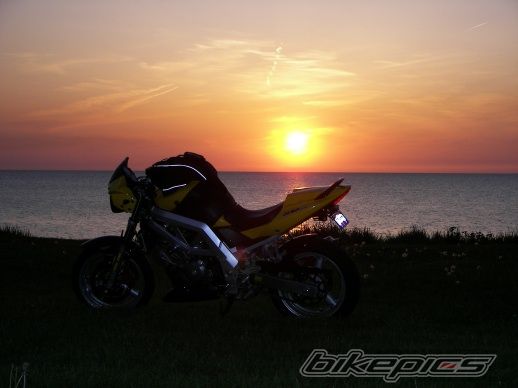 Photo 1667141