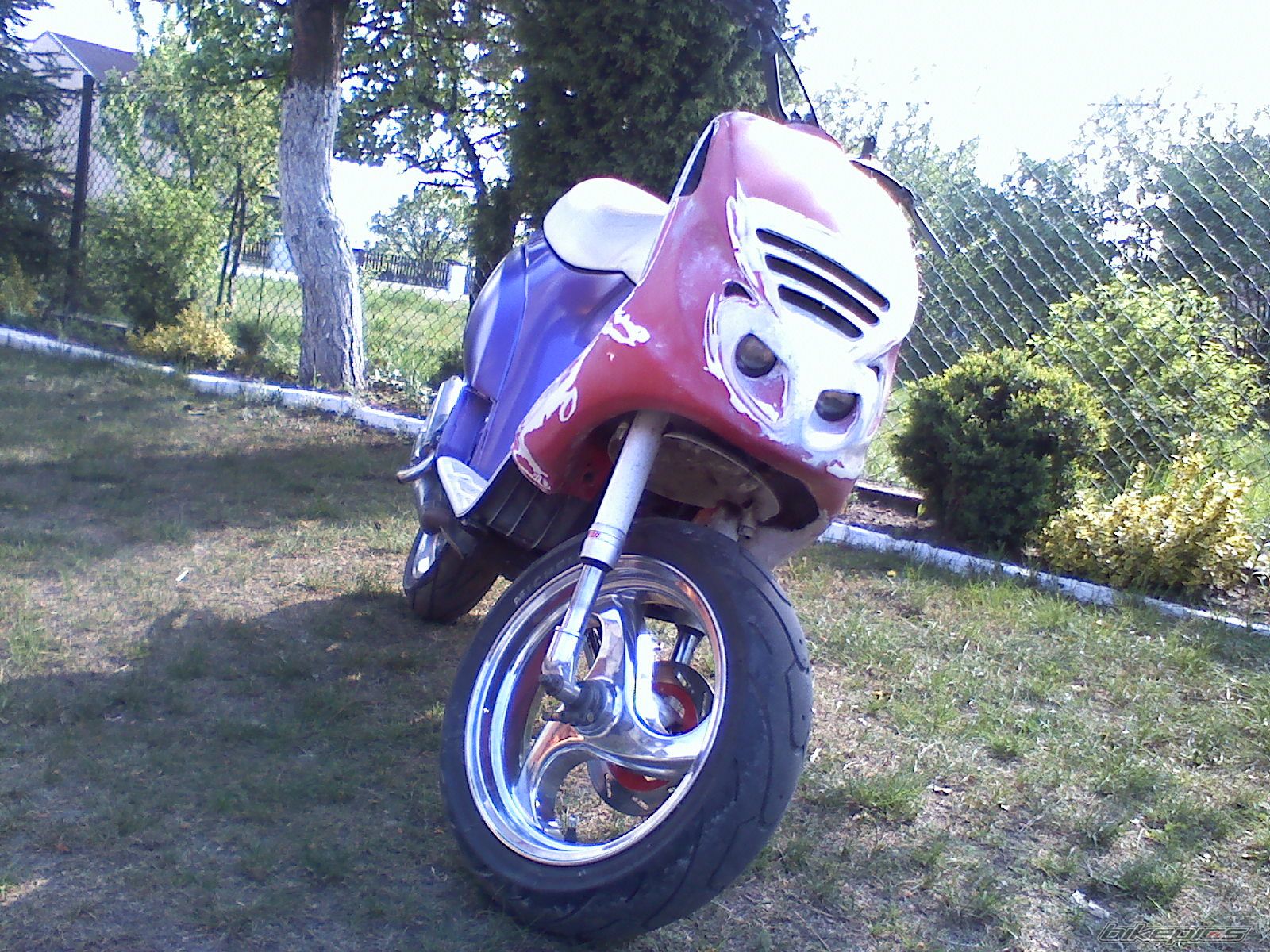 Photo 1667173