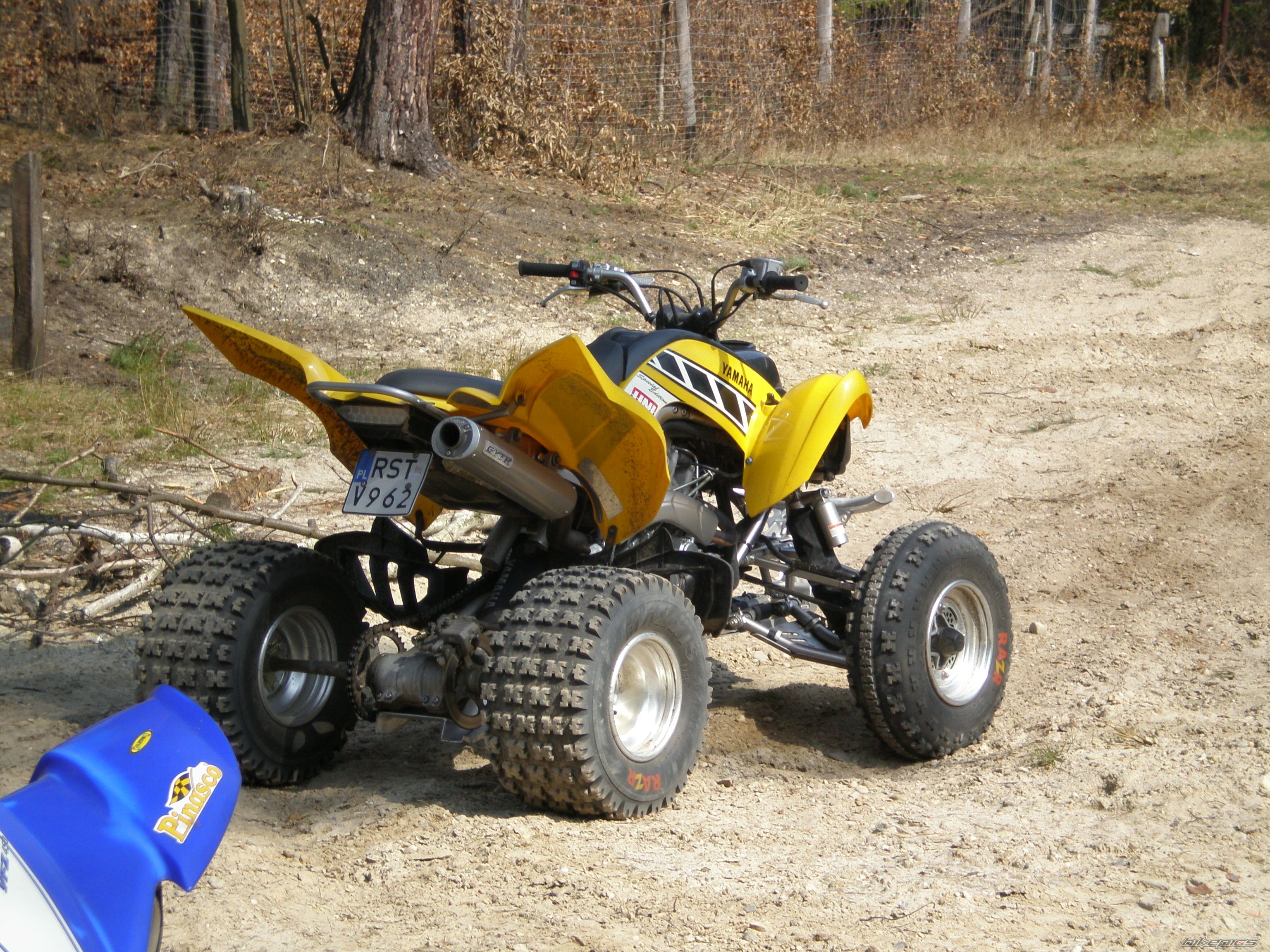 Photo 1667187