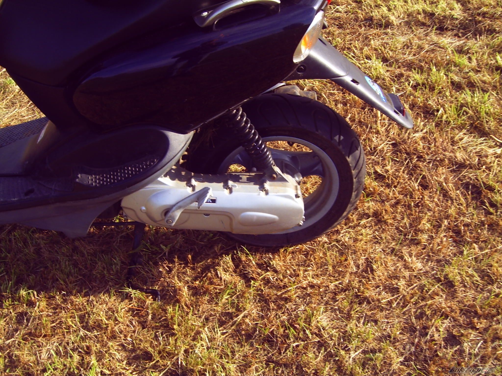 Photo 1667221
