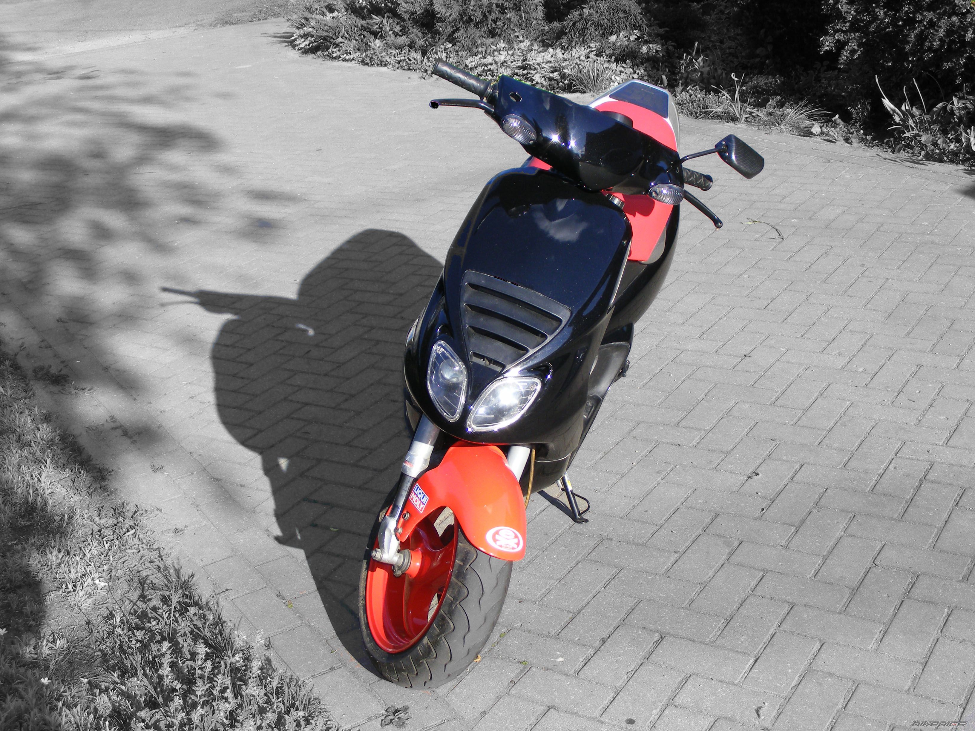 Photo 1667233