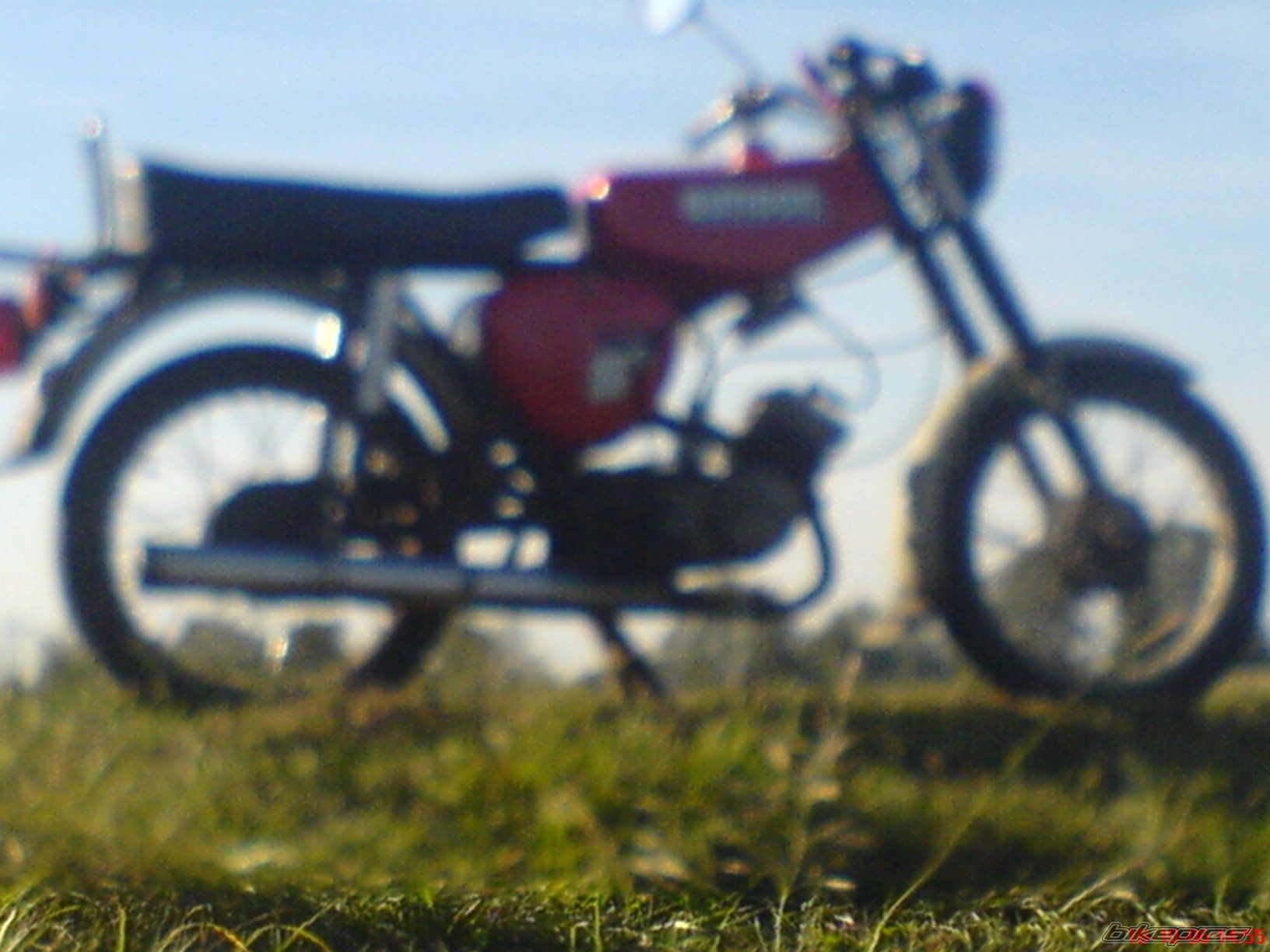 Photo 1667242
