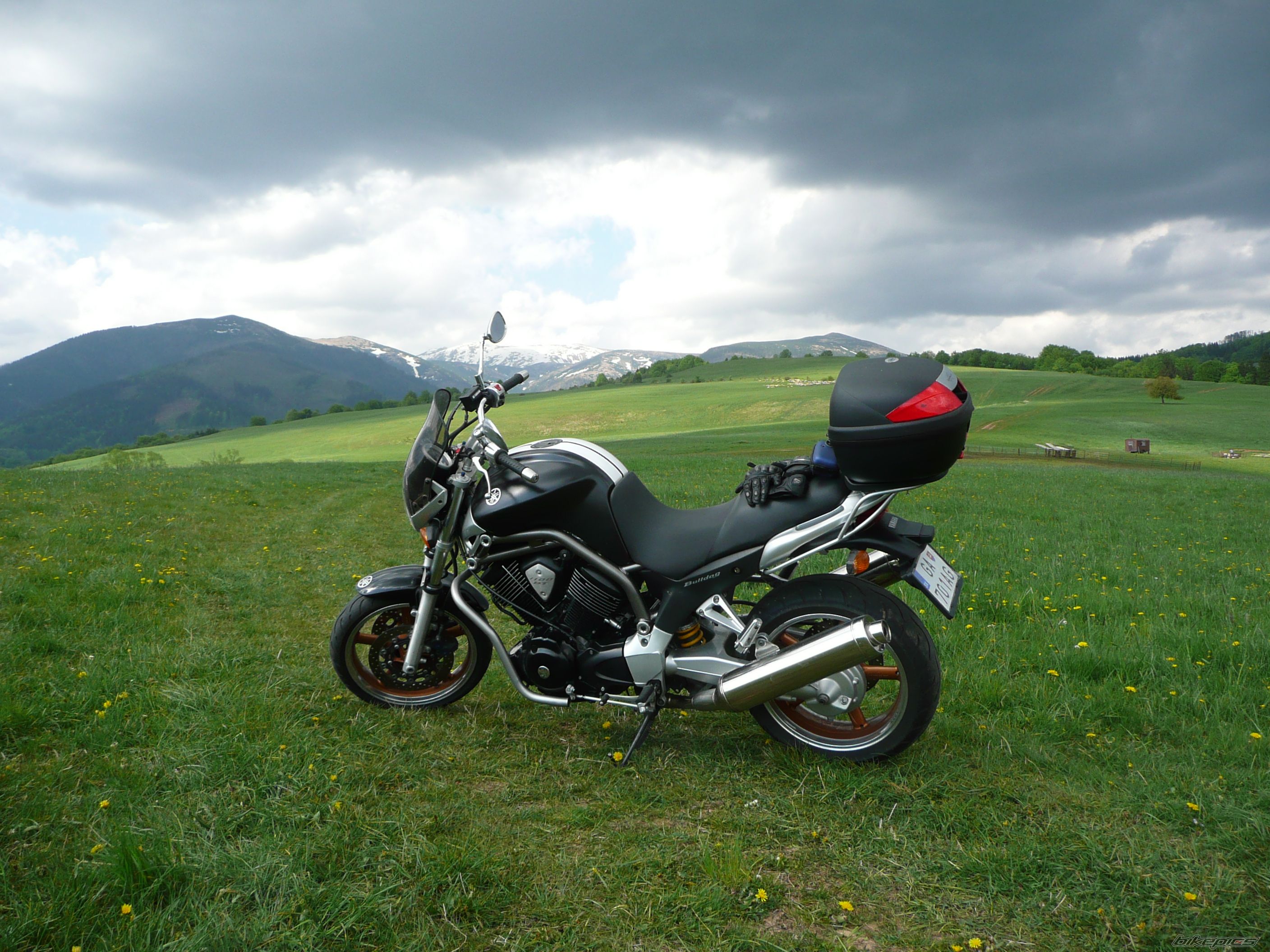 Photo 1667277
