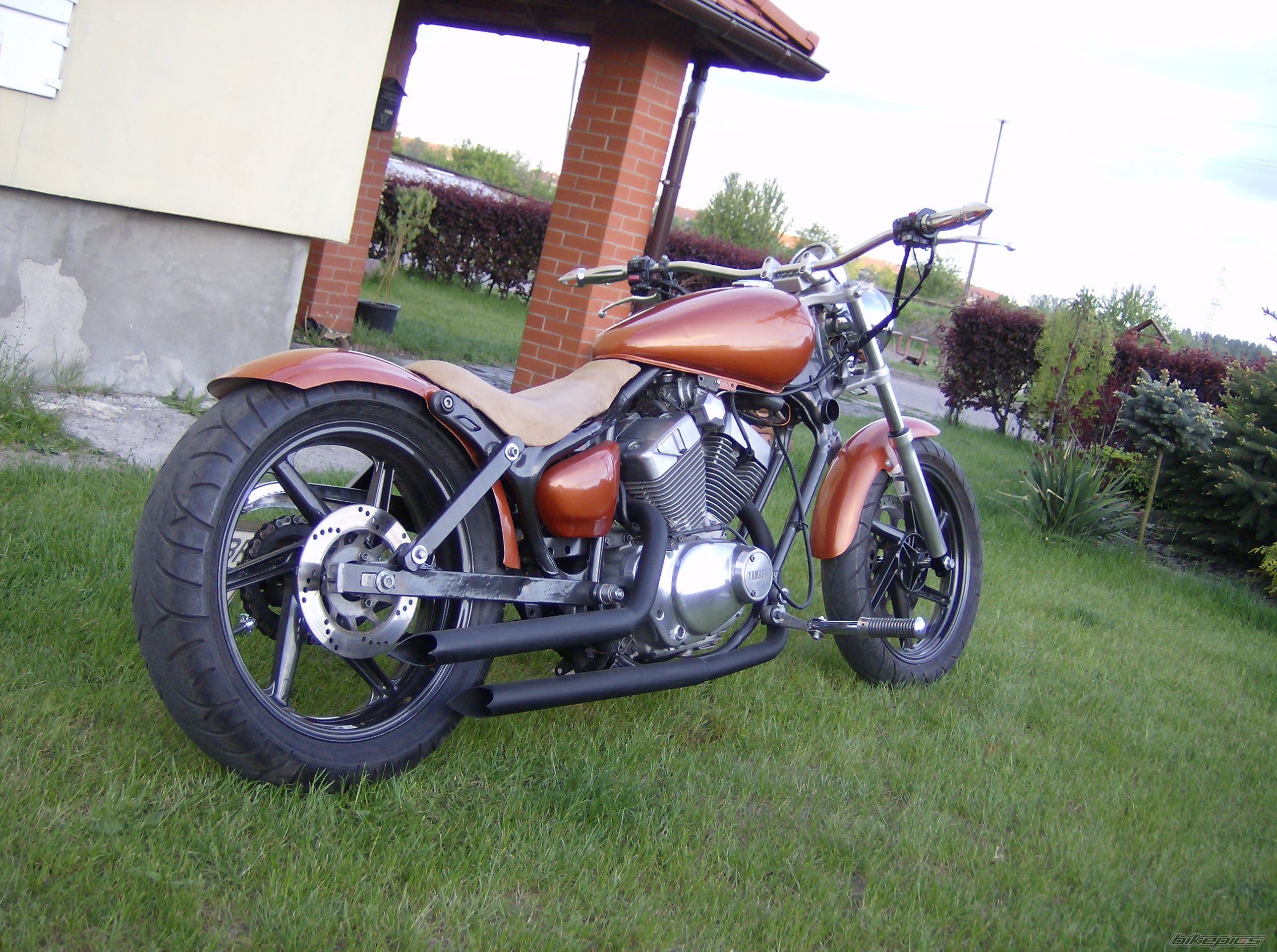 Photo 1667305