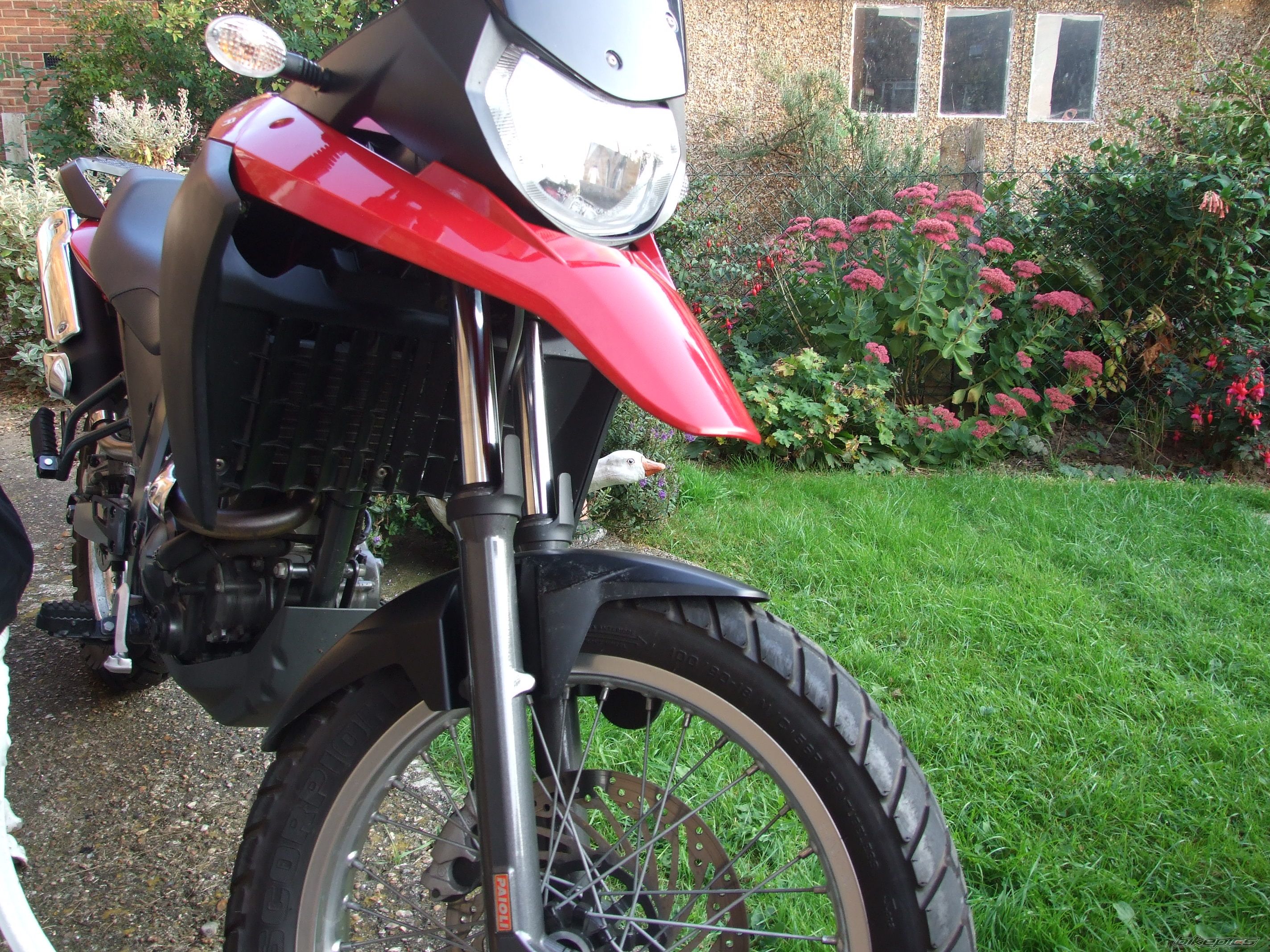 Bike Photo 1667306