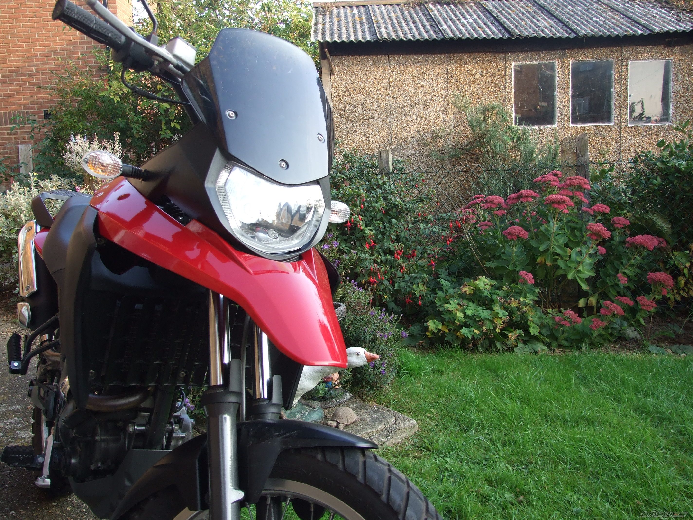 Bike Photo 1667312