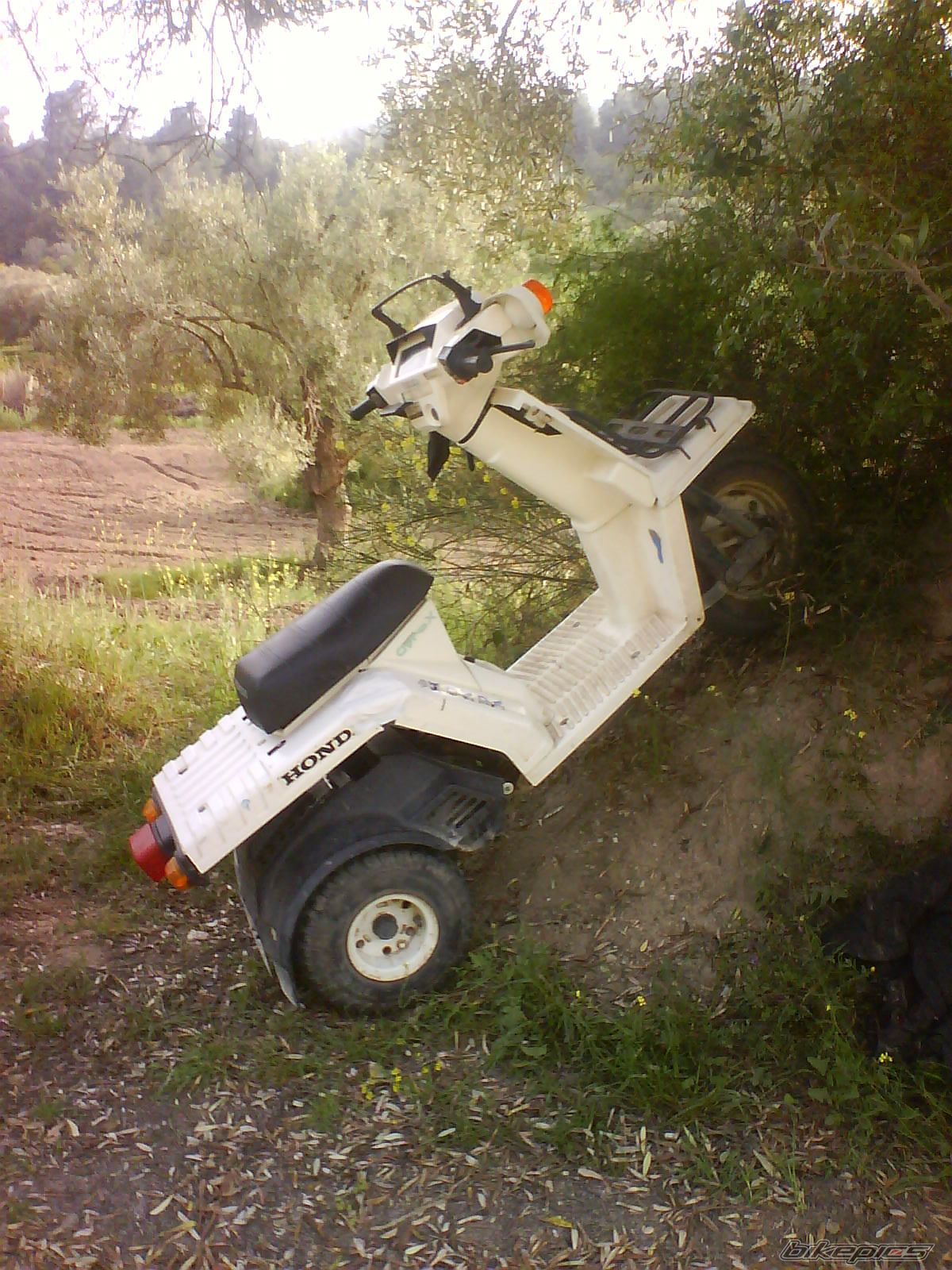 Bike Photo 1667347