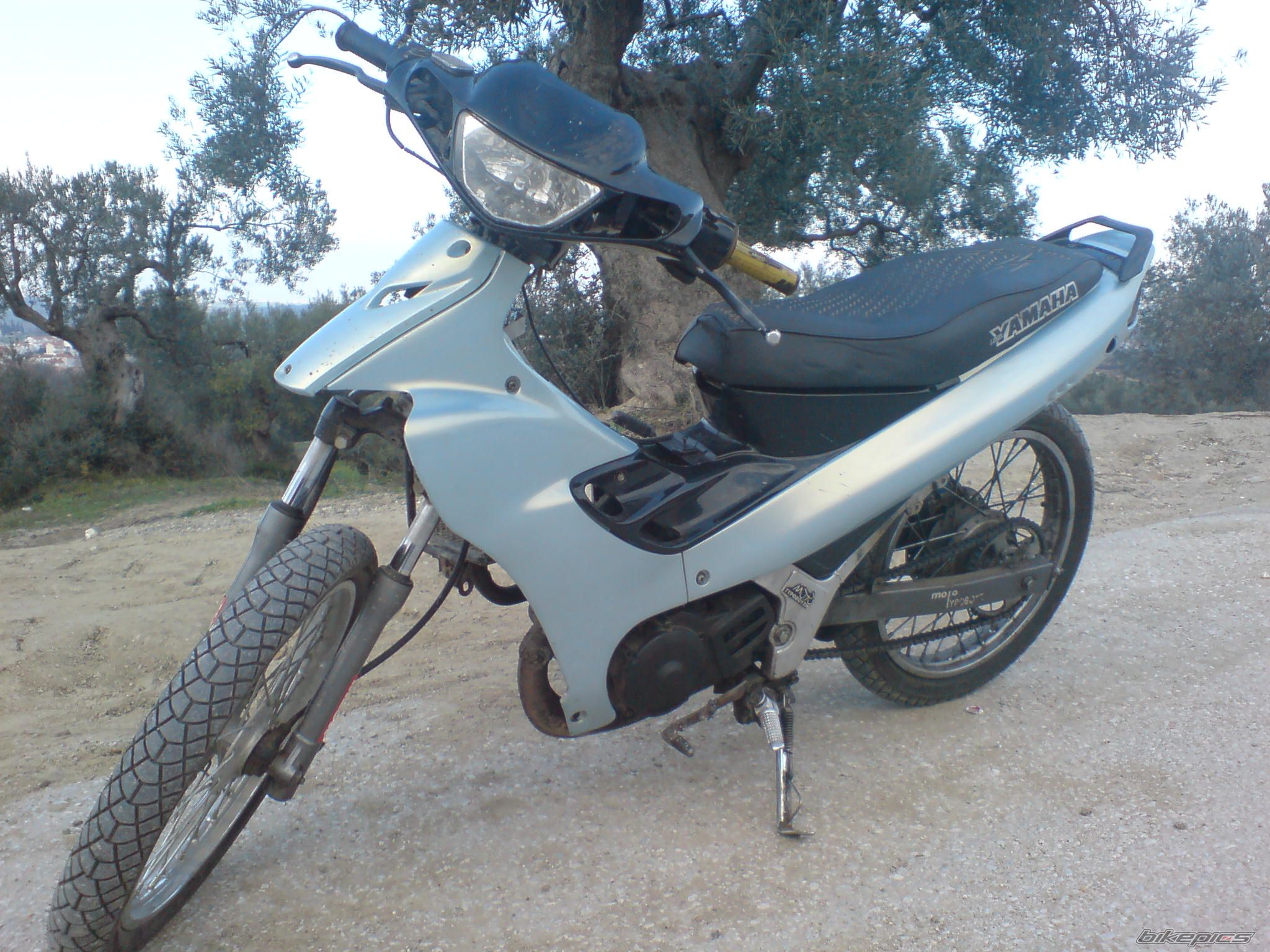 Photo 1667353
