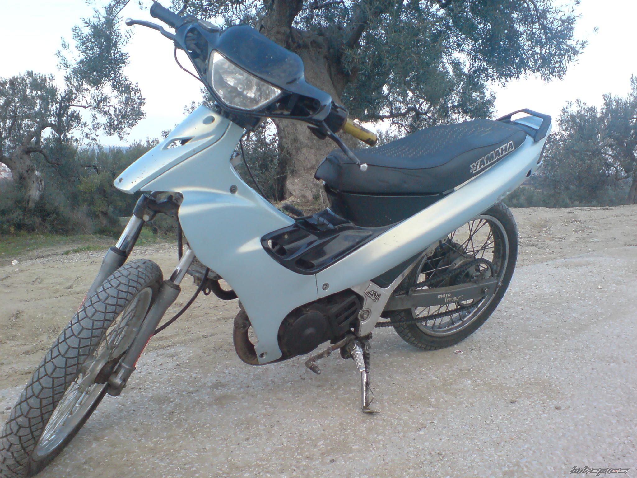 Photo 1667355