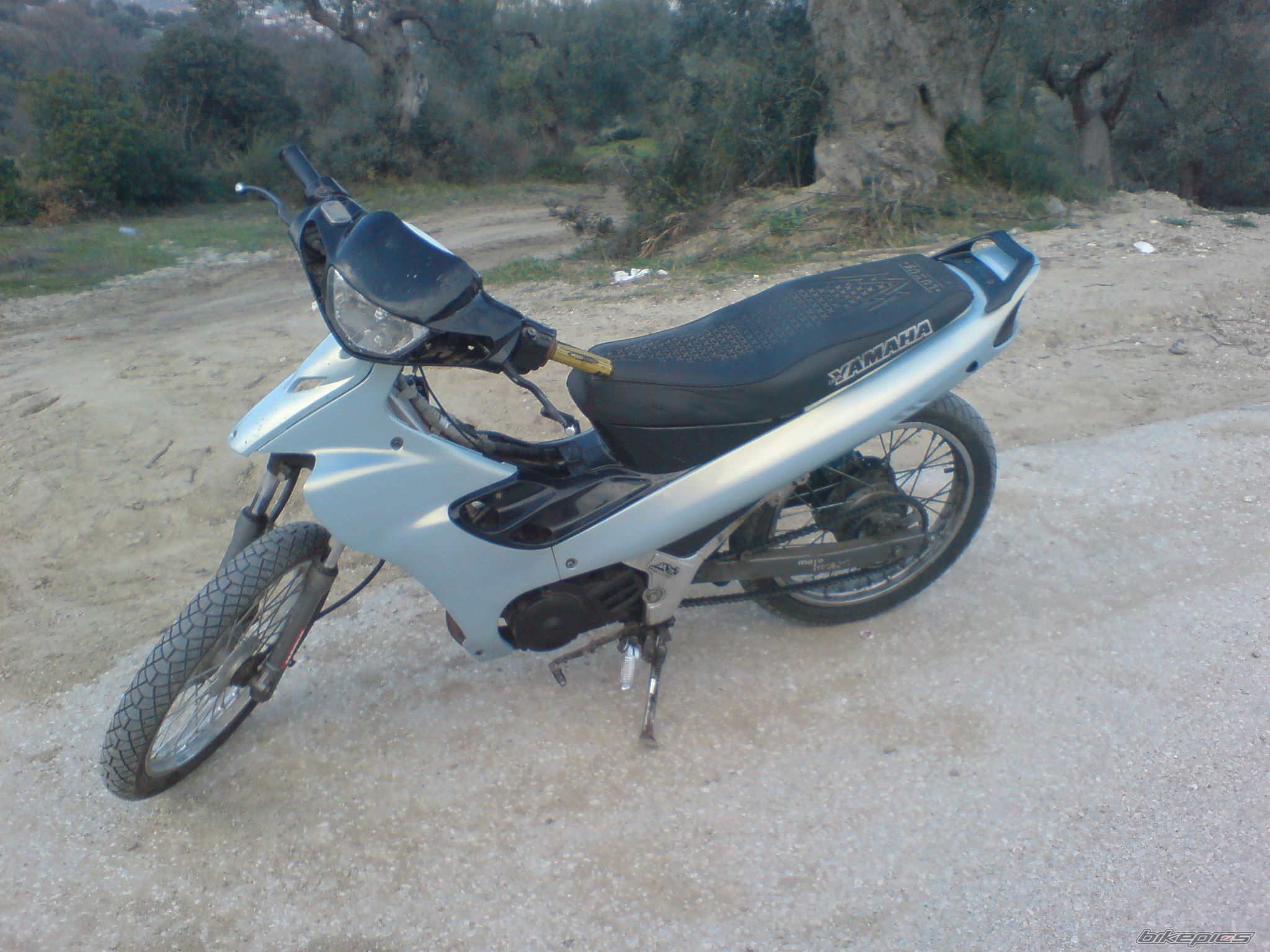 Photo 1667357