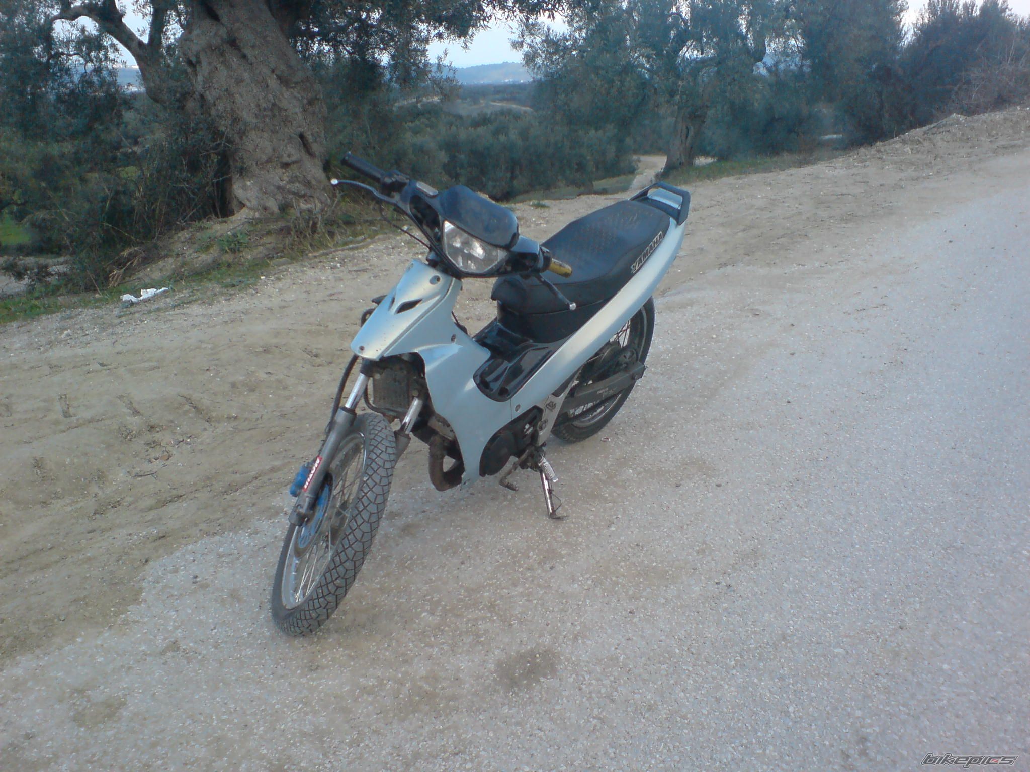 Photo 1667358