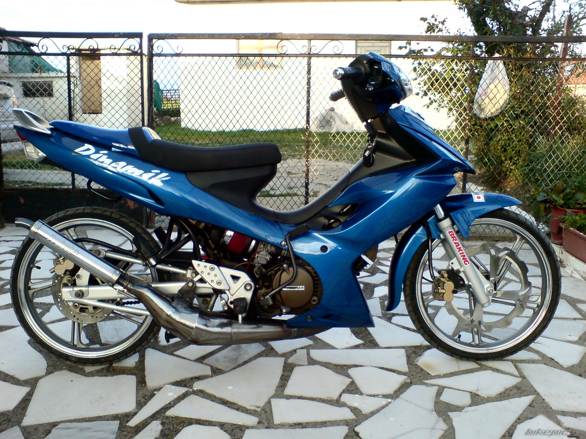 Photo 1667384