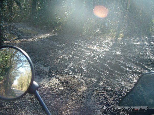 Bike Photo 1667411